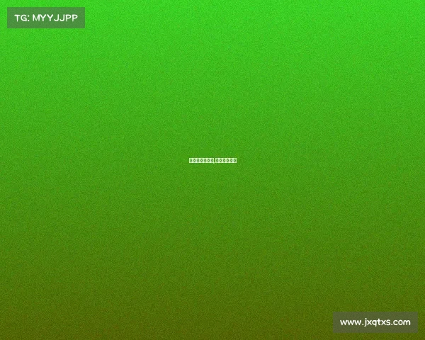 世界杯法国赛事,法国的世界杯